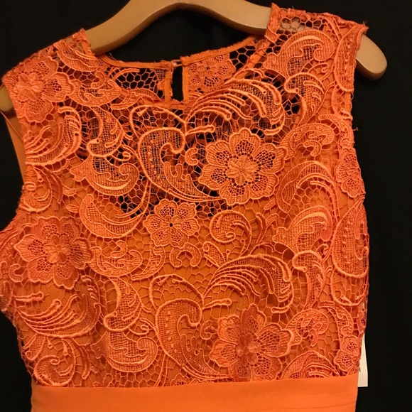 Spring Time! - Picture 3 of 5